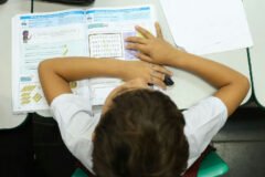 Censo Escolar 2026: Inep libera resultados preliminares e abre prazo para ajustes