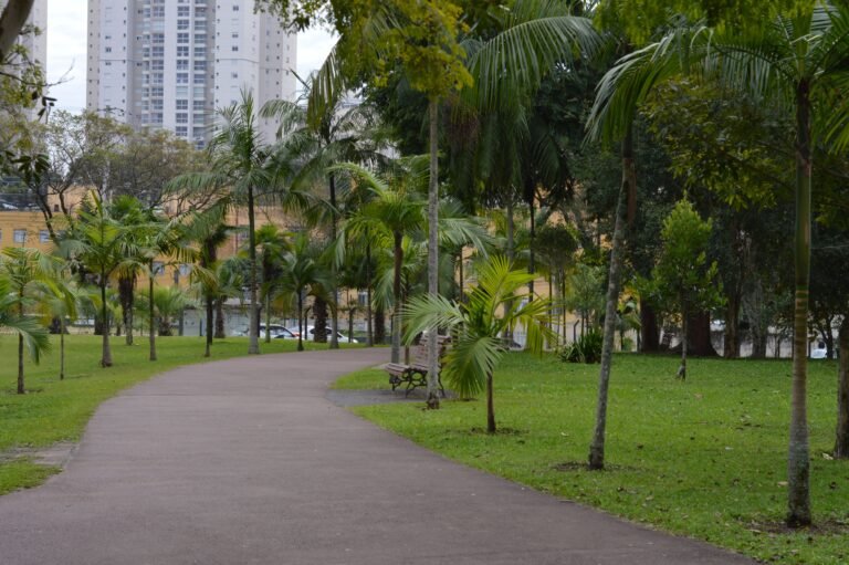 Como planejar um roteiro eficiente pelas atrações turísticas em Curitiba
