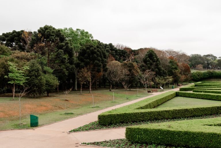 Curitiba pontos turísticos: quando ir e o que colocar no roteiro