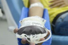 Doação de sangue é liberada para pessoas com mais de 70 anos em todo o Brasil