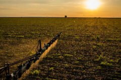 Novas regras do seguro rural ampliam proteção e garantias para produtores brasileiros