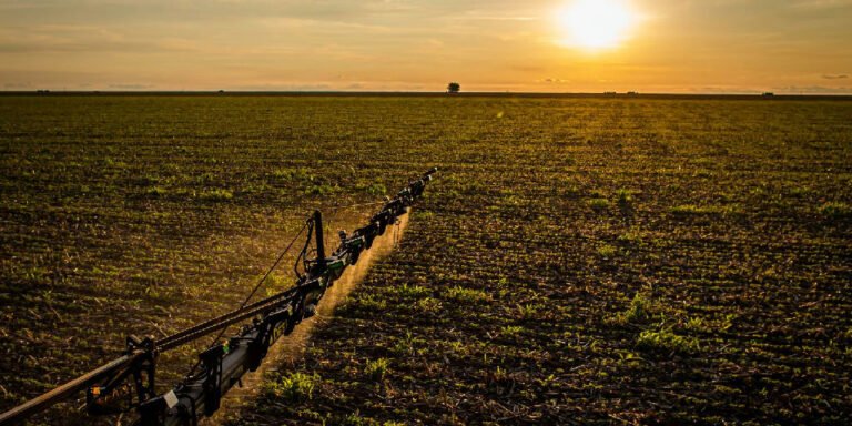 Novas regras do seguro rural ampliam proteção e garantias para produtores brasileiros