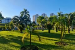 Passeio em Curitiba: como organizar um roteiro pelo centro histórico e áreas culturais