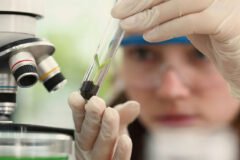 Programa Futuras Cientistas abre inscrições para imersão em laboratórios de todo o país