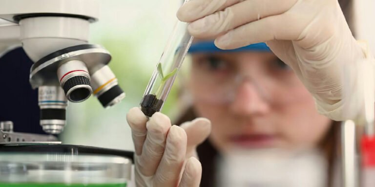 Programa Futuras Cientistas abre inscrições para imersão em laboratórios de todo o país