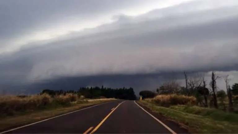 Paraná enfrenta temporais com ventos de 140 km/h e TRE mantém plano de contingência